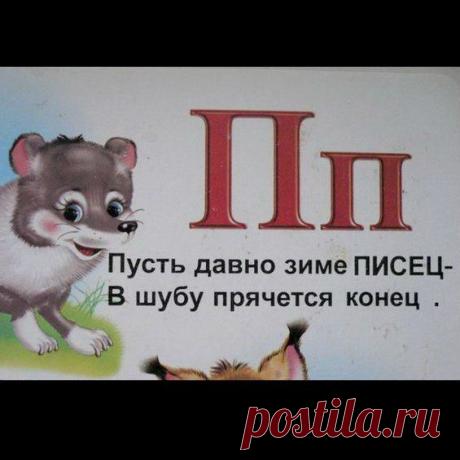 Приколы нашего образования / Писец - приколы интернета