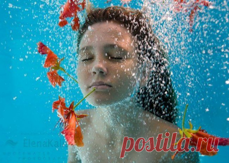 19 лучших работ из альбома «Fine Art»
Для Саша Калис (Sacha Kalis) океан всегда был родным домом. Саша родилась и вырос на Багамах, она научилась плавать, прежде чем начала ходить, в шутку она называет себя «Bahamas Girl»