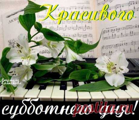 Светлана Болотова