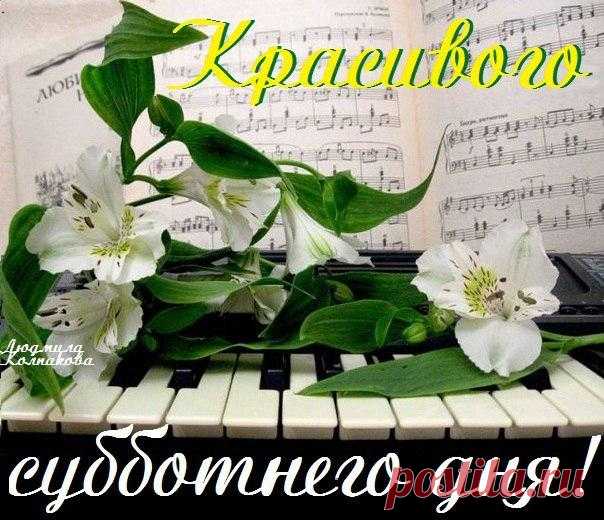 Светлана Болотова
