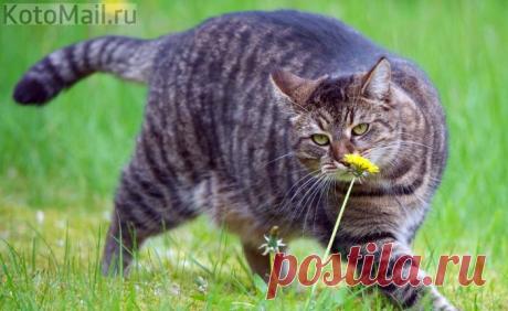 Счастье - суметь не пройти мимо красоты!
