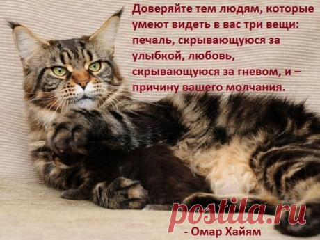 мудрые изречения - Поиск в Google