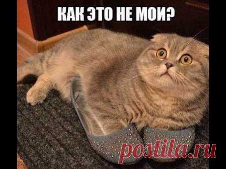 Хи-хи-хи...ржака!
ирина никитченко
