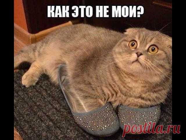 Хи-хи-хи...ржака!
ирина никитченко