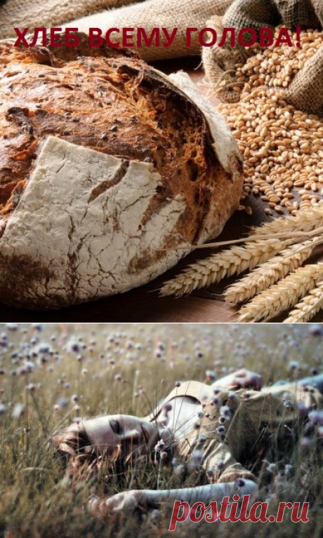 МАГИЧЕСКИЙ САЙТ – ЗДОРОВЬЯ и ОБРАЗОВАНИЯ - Каталог статей