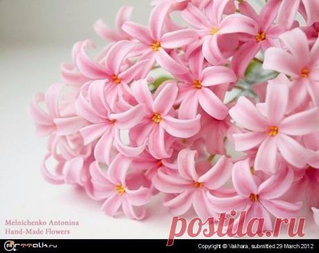 Рецепт холодного фаpфоpа