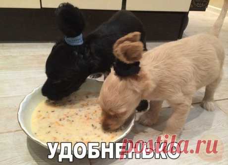 (30) Мой Мир@Mail.Ru