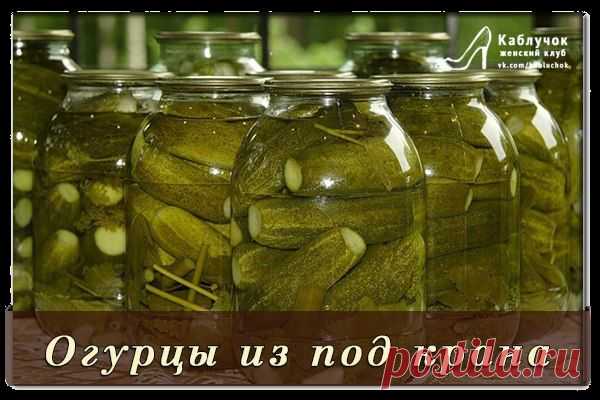 Огурцы из под крана