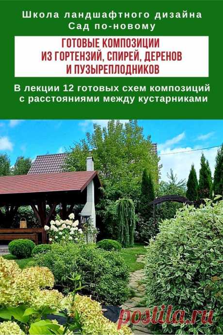 Хотите получить 12+ готовых схем композиций с расстояниями между кустарниками?  -#ландшафтный дизайн участка  #ландшафтный дизайн участка своими руками #ландшафтный дизайн участка перед домом #ландшафтный дизайн участка идеи #ландшафтный дизайн участка 6 соток