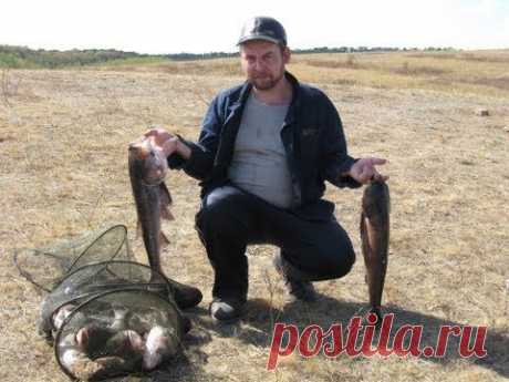 Ловля толстолобика в Донецкой области.
