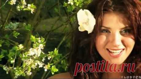 Стелла Джанни КАК МАЛО ПРОЙДЕНО ДОРОГ