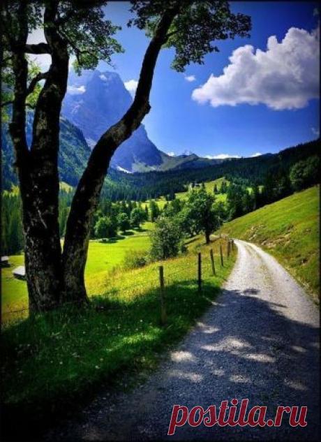 Pinterest (Pin) (157)