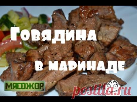 МЯСОЖОР #19 Говядина в маринаде