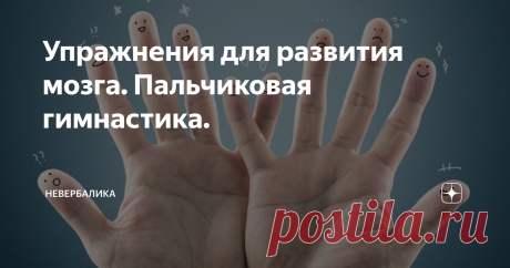 Упражнения для развития мозга. Пальчиковая гимнастика. Мелкую моторику рук развивают с детства. Кто не помнит уроков лепки из пластилина? Собирание пазлов и конструктора? В игровой форме, сами того не понимая, дети учатся управлять своими пальцами.