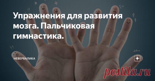 Упражнения для развития мозга. Пальчиковая гимнастика. Мелкую моторику рук развивают с детства. Кто не помнит уроков лепки из пластилина? Собирание пазлов и конструктора? В игровой форме, сами того не понимая, дети учатся управлять своими пальцами.
