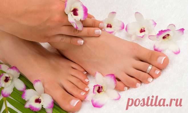 Лот 9033 Набор для маникюра «Анабель» Nail Perfect по выгодным ценам от Ле Монти