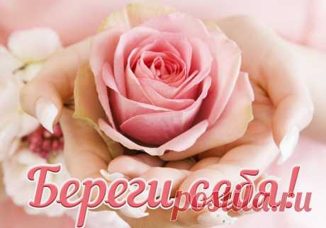 Открытки бесплатно | Минутта