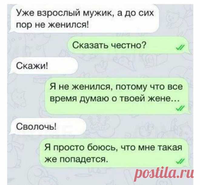 Юмор для великолепного настроения