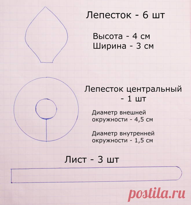 нарцисс.jpg — Яндекс.Диск