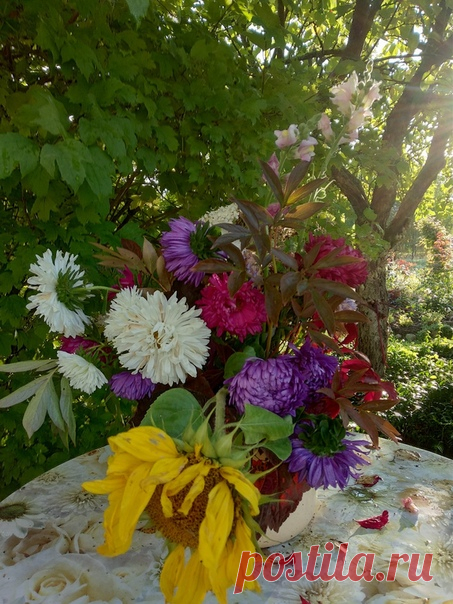 Доброе осенние утро!☀