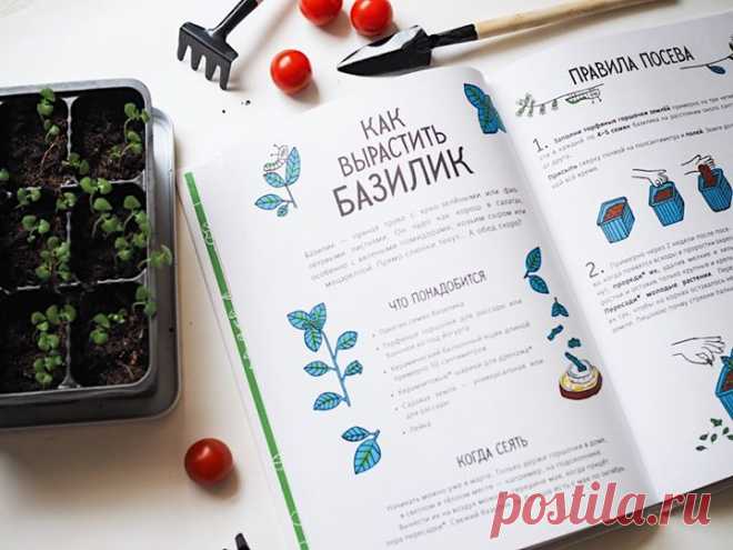 🌱 Выращиваем базилик по книге «Огород круглый год» Эта книга расскажет о том, как вырастить на своем балконе фрукты, овощи, зелень и ягоды. Она содержит пошаговые инструкции, интересные факты о растениях и советы по уходу за ними. Что понадобится • Пакетик семян базилика • Торфяные горшочки для рассады или баночки из-под йогурта • Керамический балконный ящик длиной примерно 50 сантиметров • Керамзитовые шарики для дренажа • Садовая земля — универсальная или для рассады • Лейка Правила посева…