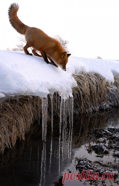 Nature.