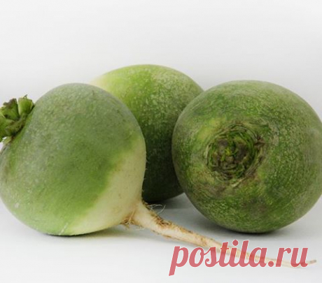 (2) Еврейская (кошерная) международная кухня.