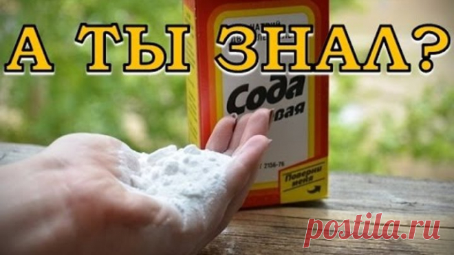 9 способов применения соды на огороде