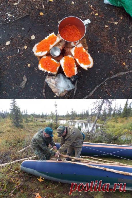 14 дней на Кольском полуострове (106 фото) | Хитрости Жизни