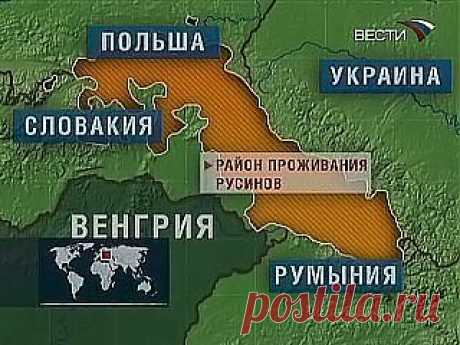 Закон и Порядок. Защитим себя сами!