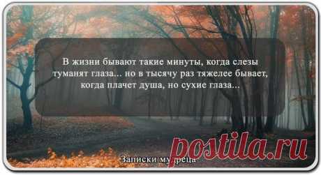 Слёзы.