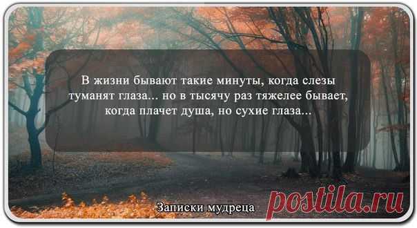 Мой Мир@Mail.Ru