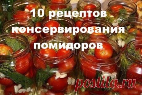 10 рецептов консервирования помидоров
(сохраняем заранее, чтобы не забыть!)
1. ТОМАТЫ 'ПАЛЬЧИКИ ОБЛИЖЕШЬ'
Ингредиенты:
 - 3 кг помидоров,
 - 200 г зелени,
 - 1 головка чеснока,
 - 100 г репчатого лука.
Маринад:
 - 3 л воды, 2 ст.ложки соли,
 - 9 ст.ложек сахара, 2-3 шт. лаврового листа,
 - 3 шт. перца горошком, 1 стакан 9%-ного уксуса.
Приготовление:
Томаты, вымыть. Банку пропарить, на дно положить рубленую зелень (укроп, петрушка, лист вишни), чес­нок, влить 3 ст.ложки ра...