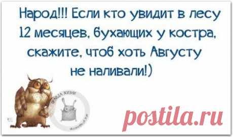 Еще пост метких фраз;)))