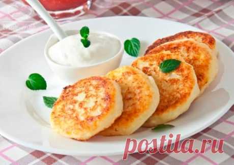 Классические сырники на сковороде : вкусный завтрак для всей семьи - Жизнь планеты