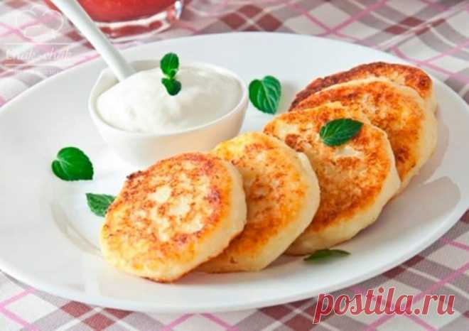 Классические сырники на сковороде : вкусный завтрак для всей семьи - Жизнь планеты
