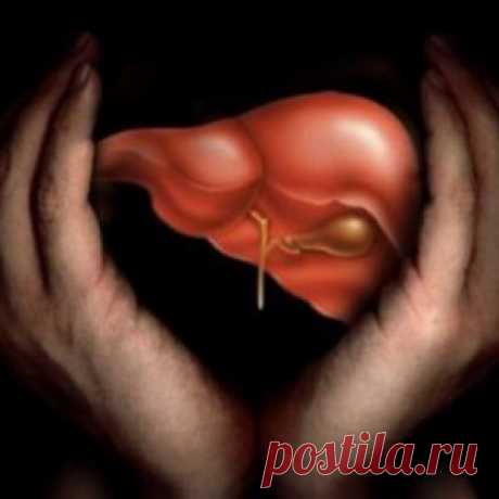 Очищение печени в домашних условиях