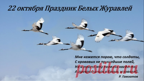 Полетят журавли, полетят,
Нам напомнят о битвах минувших,
Мы подарим прощальный им взгляд,
И курлыкнут они, оглянувшись. Открытки на День белых журавлей!