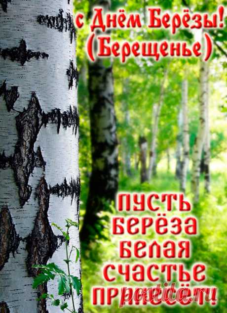 С Днем русской березы!