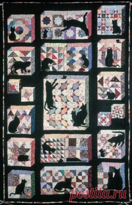 Кошачий сэмплер.