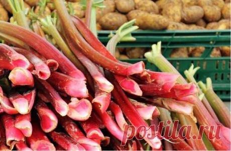 Популярные продукты, которые способны внезапно нас убить - Steak Lovers - 22 декабря - 43793507057 - Медиаплатформа МирТесен Какое бы внимание мы ни уделяли дезинфекции продуктов и тщательному их приготовлению, всегда есть скрытые опасности. Некоторая еда действительно смертельно опасна, если ошибиться в способах ее употребления. И речь не только о знаменитой рыбе фугу, которая способна убить всю компанию за столом, если - 22 декабря - 43793507057 - Медиаплатформа МирТесен