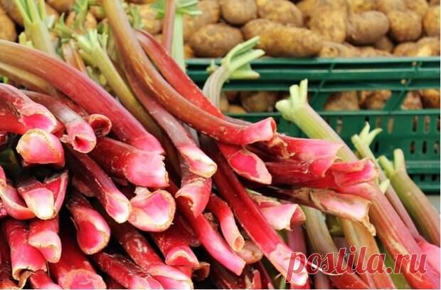 Популярные продукты, которые способны внезапно нас убить - Steak Lovers - 22 декабря - 43793507057 - Медиаплатформа МирТесен Какое бы внимание мы ни уделяли дезинфекции продуктов и тщательному их приготовлению, всегда есть скрытые опасности. Некоторая еда действительно смертельно опасна, если ошибиться в способах ее употребления. И речь не только о знаменитой рыбе фугу, которая способна убить всю компанию за столом, если - 22 декабря - 43793507057 - Медиаплатформа МирТесен