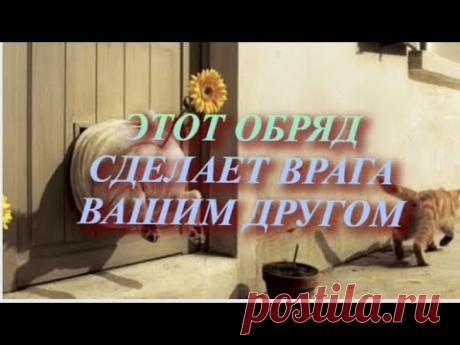 Этот обряд поможет вам помириться даже с теми кто вас ненавидит !