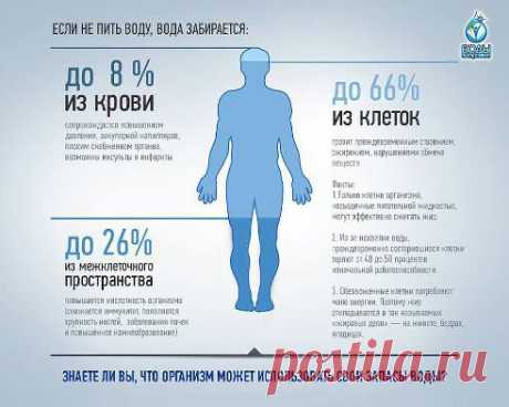 (6) Одноклассники