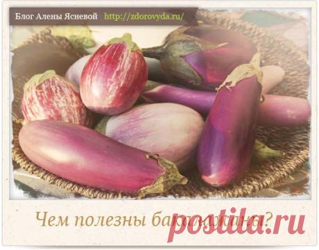 Польза баклажанов для нашего здоровья -как готовить и как есть