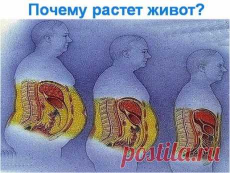 убрать живот