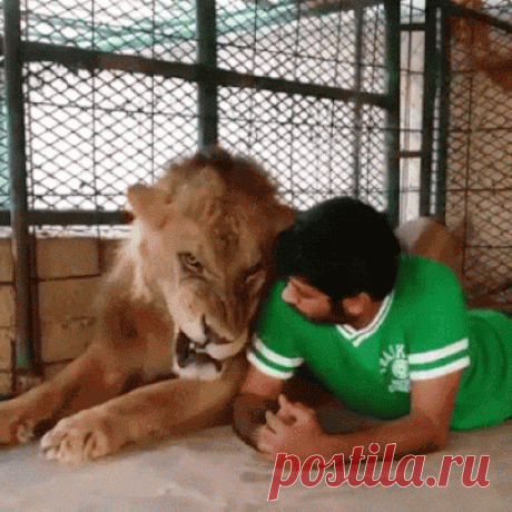 ЖИВЫЕ ФОТОГРАФИИ. AMAZING GIF. – Google+