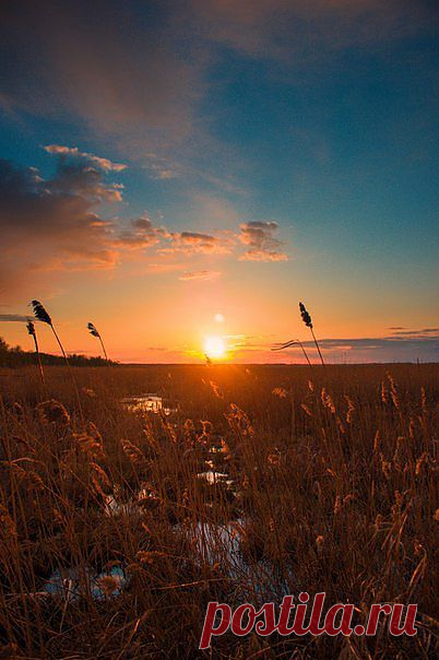 Рассветы, закаты..