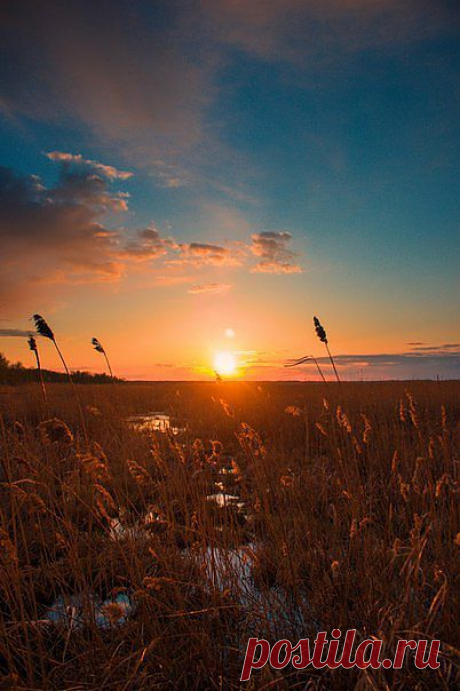 Рассветы, закаты..