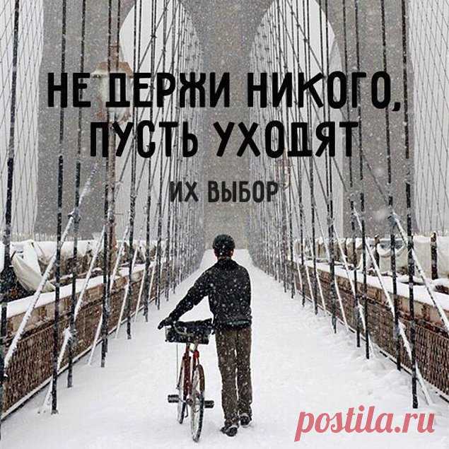 20 невероятно красивых и мудрых цитат недели, которые стоит запомнить - Калейдоскоп событий